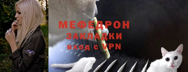 индика Арсеньев