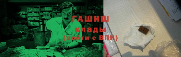 индика Арсеньев