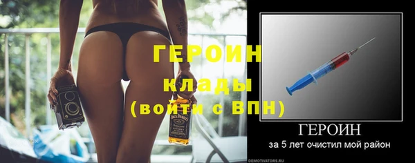 индика Арсеньев