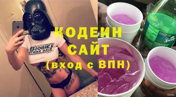 индика Арсеньев