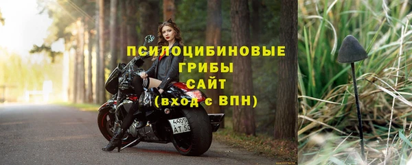 индика Арсеньев