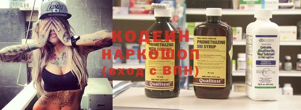 индика Арсеньев